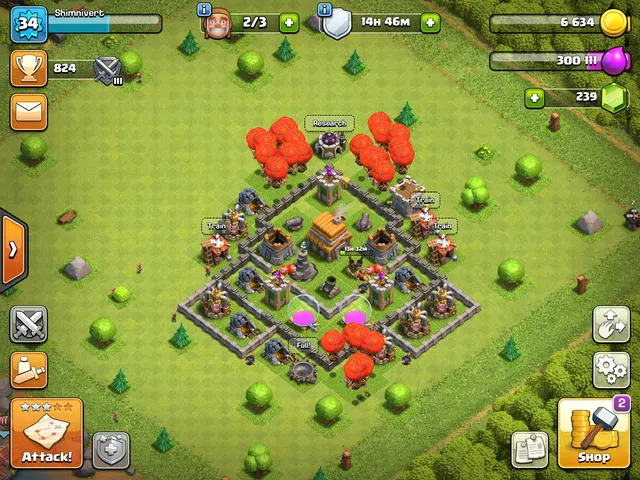 Base